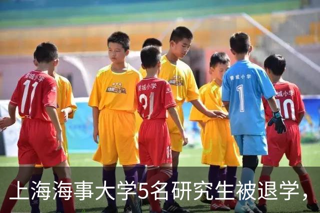 上海海事大学5名研究生被退学，原因揭晓，令不少家长感到无语